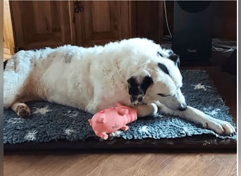 Marni - Dieses Herz hat schon zu lange gewartet