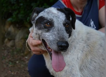 Medwin - Wo ist denn nun das wahre Leben?