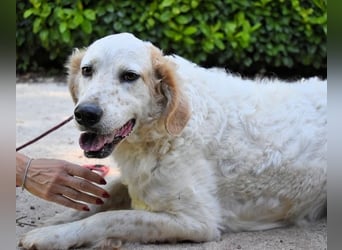 Kastore - Die Welt erkunden!