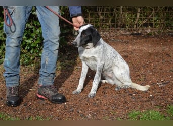 Flicka - möchte noch viel erleben