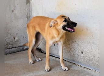 Olympia - "Und wenn sie nicht weg sind....