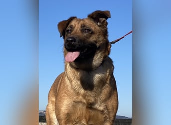 Asha - Neugierige Frohnatur sucht ihren Prinzessinnenplatz