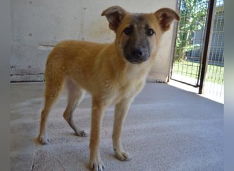 Olympia - "Und wenn sie nicht weg sind....