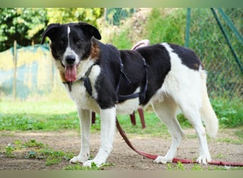 Coraggio - Schritt für Schritt ins Leben zurück