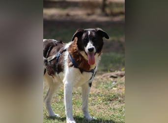 Coraggio - Schritt für Schritt ins Leben zurück