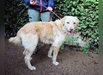 Rodman - läuft sich die Seele wund