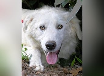 Franky - bereit für das Abenteuer Leben