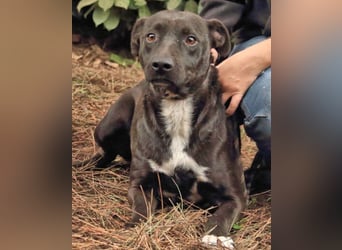 Rhino - NOTFALL !!! - Wenn man nicht auffällt, geht man unter