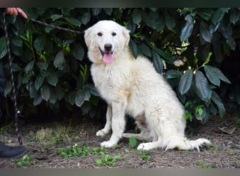 Florenz - bereit für das Abenteuer Leben