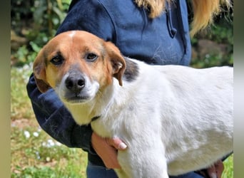 Kamyll - Findet er Sie...