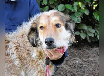 Ligorio - Zwölf, elf, zehn ... eins - Ligorio