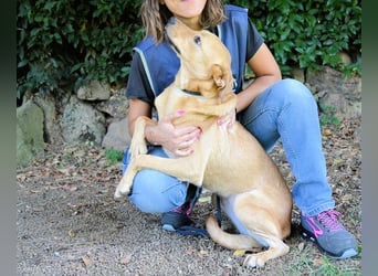 Lilyrose - als kleine Muschel ins Glück!