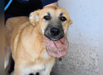 Osita - "Und wenn sie nicht weg sind.....