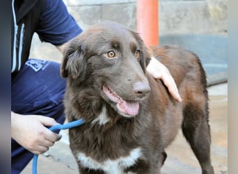 Beckey - Berufswunsch Prinzessin