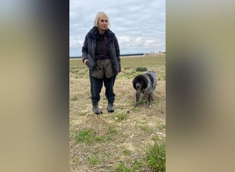 Olivia - mit sanften Schritten nach vorn