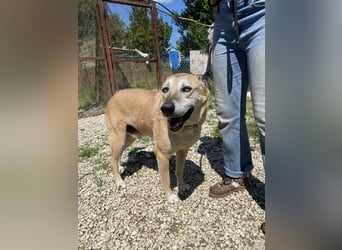 Plugh - Opa Plugh möchte die Welt - und Sie! kennenlernen