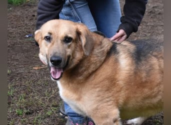 Kairo - möchte einfach nur genießen