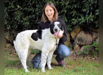 Jasmine - Wer nicht neugierig ist, erfährt nichts!