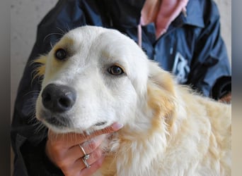 Sadye - Liebevolle Zuwendung....