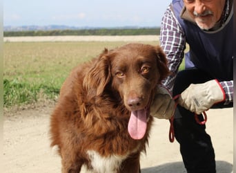 Beckey - Berufswunsch Prinzessin