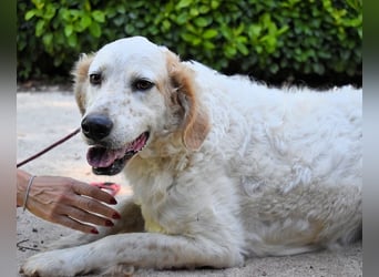 Kastore - Die Welt erkunden!