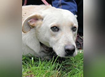 Hughie - macht ein Freundschaftsangebot