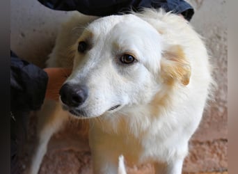 Sadye - Liebevolle Zuwendung....