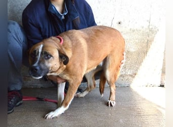 Sunitha - Drei Leben. Drei Chancen.