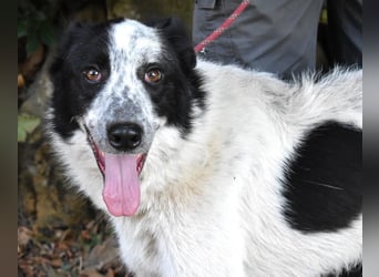 Jasmine - Wer nicht neugierig ist, erfährt nichts!