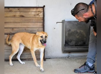 Osita - "Und wenn sie nicht weg sind.....
