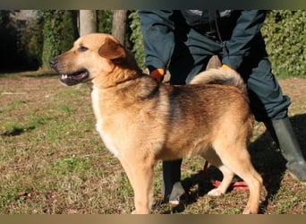 Kairo - möchte einfach nur genießen