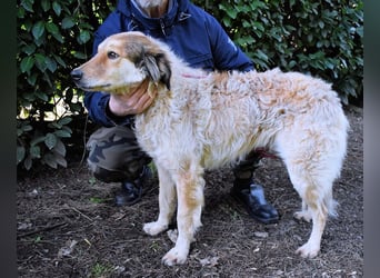 Ligorio - Zwölf, elf, zehn ... eins - Ligorio