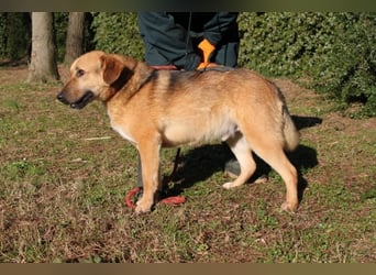 Kairo - möchte einfach nur genießen