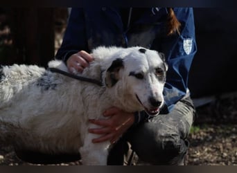 Marni - Bereit für ihr eigenes kleines Glück