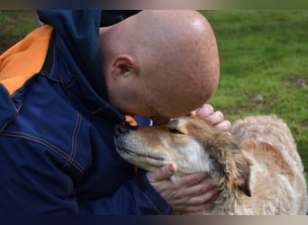 Ligorio - Zwölf, elf, zehn ... eins - Ligorio