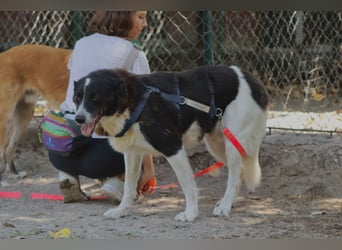 Coraggio - Schritt für Schritt ins Leben zurück