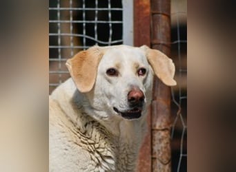 Patty - leise Schritte, große Hoffnung