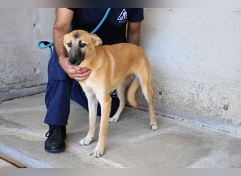 Olympia - "Und wenn sie nicht weg sind....