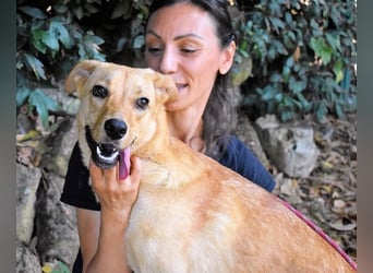 Lilyrose - als kleine Muschel ins Glück!