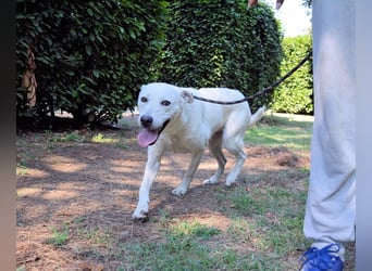 Dafnielle - Zukunft gesucht