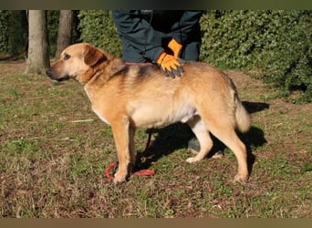 Kairo - möchte einfach nur genießen