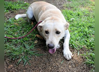 Hughie - macht ein Freundschaftsangebot