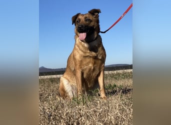 Asha - Neugierige Frohnatur sucht ihren Prinzessinnenplatz