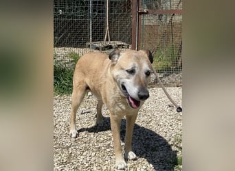 Plugh - Opa Plugh möchte die Welt - und Sie! kennenlernen