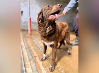 Beckey - Berufswunsch Prinzessin