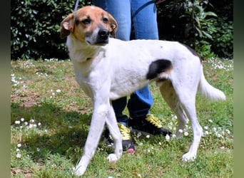 Kamyll - Findet er Sie...