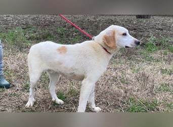 Deddy -  Mit neugierigen Pfoten ins Leben