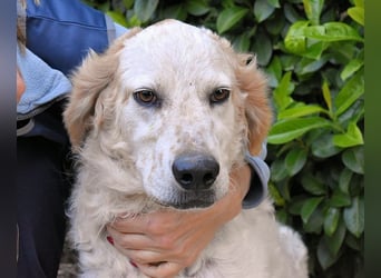 Kastore - Die Welt erkunden!