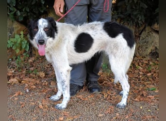 Jasmine - Wer nicht neugierig ist, erfährt nichts!