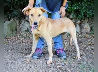 Lilyrose - als kleine Muschel ins Glück!